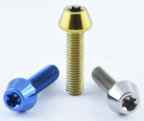 Titan (Ti6Al4V) - Bremszangenschrauben BMW Sonderfarben